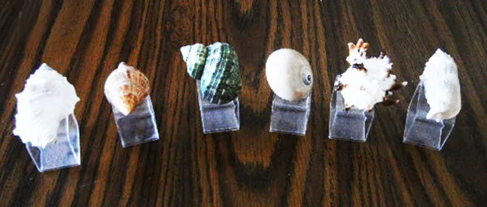 GORGEOUS AND UNIQUE VINTAGE SEA SHELL NAPKIN RINGS NAPKIN HOLDERS